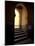 Mausoleum of Moulay Ismail, Meknes, Morocco, North Africa, Africa-Marco Cristofori-Mounted Photographic Print