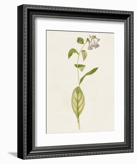 Mauve Garden Flowers IV-Unknown-Framed Art Print