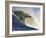 Mavericks Surf Competition 2010, Half Moon Bay, California, Usa-Rebecca Jackrel-Framed Photographic Print