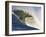 Mavericks Surf Competition 2010, Half Moon Bay, California, Usa-Rebecca Jackrel-Framed Photographic Print