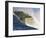 Mavericks Surf Competition 2010, Half Moon Bay, California, Usa-Rebecca Jackrel-Framed Photographic Print