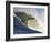 Mavericks Surf Competition 2010, Half Moon Bay, California, Usa-Rebecca Jackrel-Framed Photographic Print