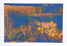 Tranquility-Max Epstein-Collectable Print