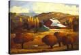 Stretched Canvas Print