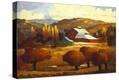 Stretched Canvas Print