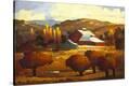 Stretched Canvas Print