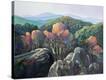 Stretched Canvas Print