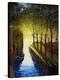 Stretched Canvas Print