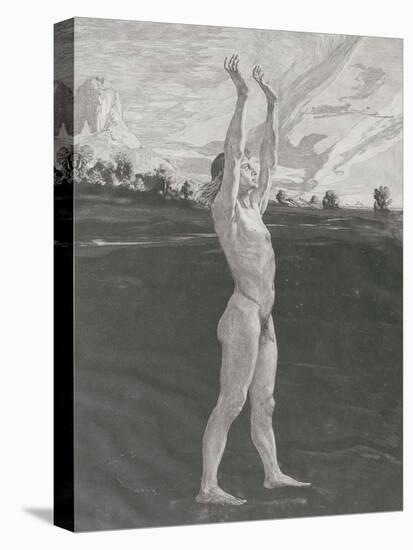 Stretched Canvas Print, , large
