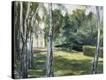 Stretched Canvas Print