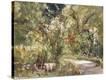 Stretched Canvas Print