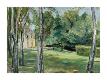 Premium Giclee Print
