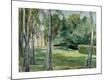 Premium Giclee Print