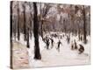Stretched Canvas Print