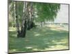 Giclee Print