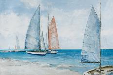 Three Boats-Max Maxx-Art Print