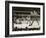 Max Schmeling on the Floor for a Count of Nine in His Match with Max Baer-null-Framed Photo