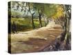 Stretched Canvas Print