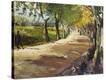 Stretched Canvas Print