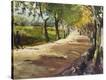 Stretched Canvas Print