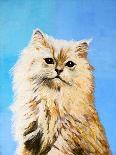 Oil Painting - Drawing of a Cat, Colorful Picture-Max5799-Photographic Print
