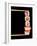 Maxi Sushi-Jag_cz-Framed Photographic Print