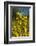 Maximilian's Sunflower (Helianthus Maximiliani) in Bloom, Texas, USA-Larry Ditto-Framed Photographic Print