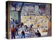 Stretched Canvas Print
