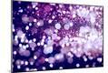 Premium Photographic Print