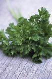 Bunch of Parsley-Maxine Adcock-Photographic Print