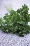 Bunch of Parsley-Maxine Adcock-Mounted Photographic Print