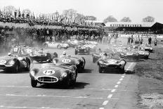 Scene at the Start of a Sports Car Race, Silverstone, Northamptonshire, (Late 1950S)-Maxwell Boyd-Photographic Print