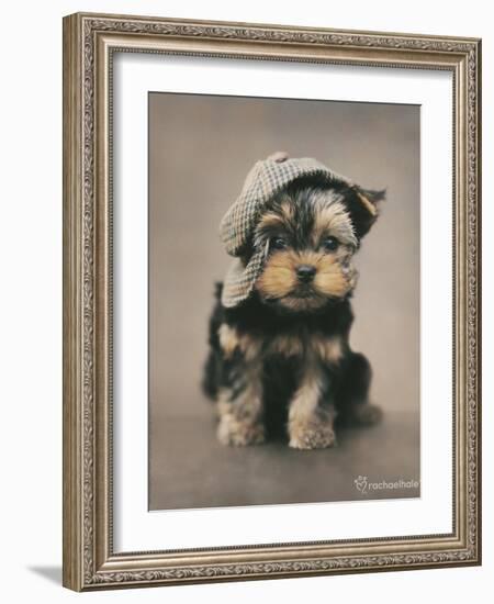 Maxwell-Rachael Hale-Framed Photo