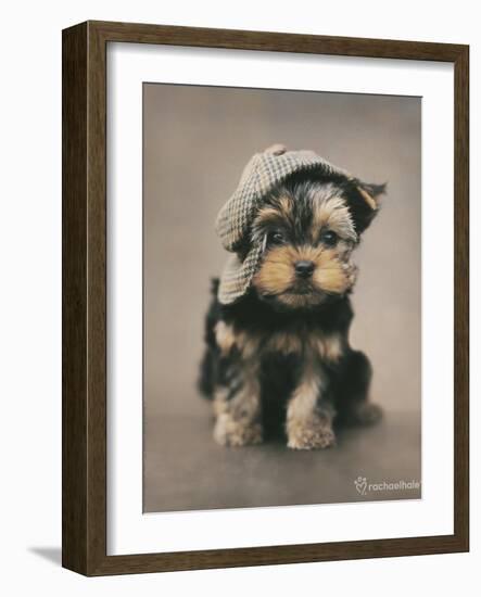 Maxwell-Rachael Hale-Framed Photo