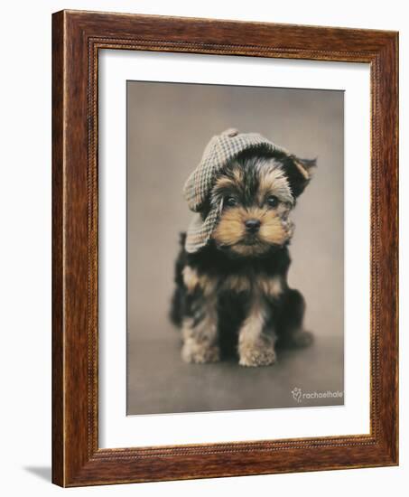 Maxwell-Rachael Hale-Framed Photo