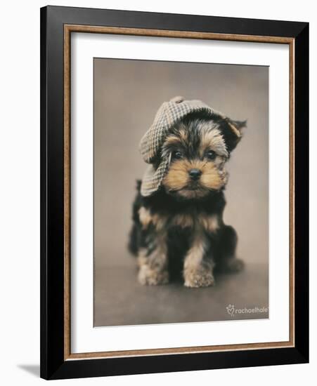 Maxwell-Rachael Hale-Framed Photo