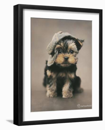 Maxwell-Rachael Hale-Framed Photo