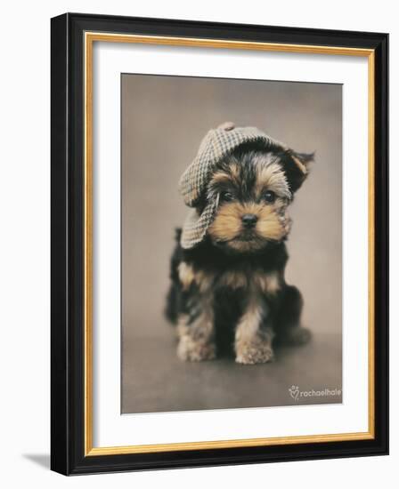 Maxwell-Rachael Hale-Framed Photo