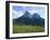 May Flowers and Mount Sciliar (Sclern), Dolomites, Trentino-Alto Adige (South Tirol), Italy-Richard Ashworth-Framed Photographic Print