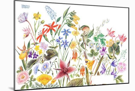 May Flowers - Jack & Jill-Frank Dobias-Mounted Giclee Print