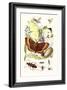 May-Fly, Brimstone Butterfly, Musk Beetle, Nut Weevil-James Sowerby-Framed Art Print