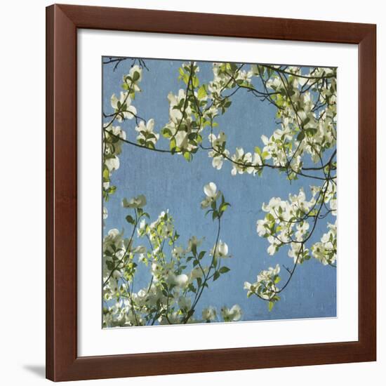 May Fourth-Donna Geissler-Framed Giclee Print