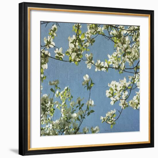 May Fourth-Donna Geissler-Framed Giclee Print