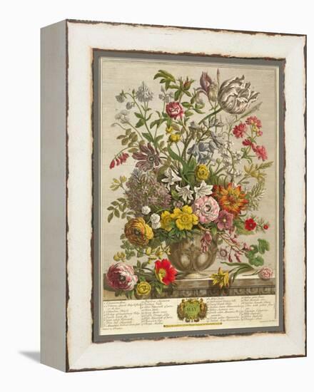 May, from 'twelve Months of Flowers' by Robert Furber (C.1674-1756) Engraved by Henry Fletcher-Pieter Casteels-Framed Premier Image Canvas