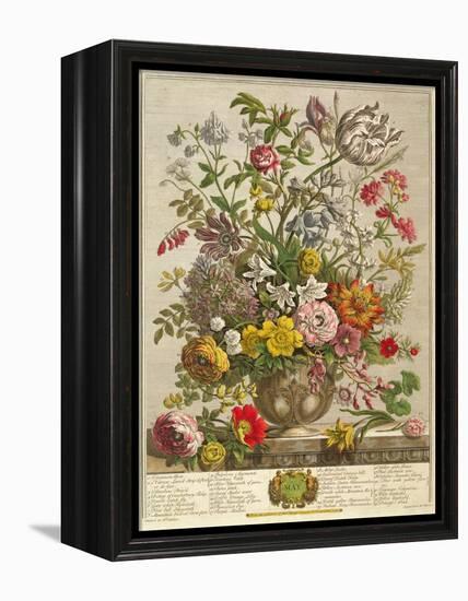 May, from 'twelve Months of Flowers' by Robert Furber (C.1674-1756) Engraved by Henry Fletcher-Pieter Casteels-Framed Premier Image Canvas