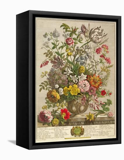 May, from 'twelve Months of Flowers' by Robert Furber (C.1674-1756) Engraved by Henry Fletcher-Pieter Casteels-Framed Premier Image Canvas