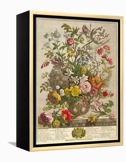 May, from 'twelve Months of Flowers' by Robert Furber (C.1674-1756) Engraved by Henry Fletcher-Pieter Casteels-Framed Premier Image Canvas