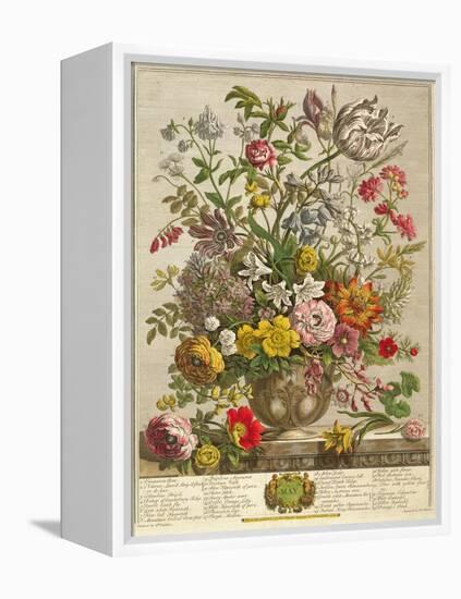 May, from 'twelve Months of Flowers' by Robert Furber (C.1674-1756) Engraved by Henry Fletcher-Pieter Casteels-Framed Premier Image Canvas