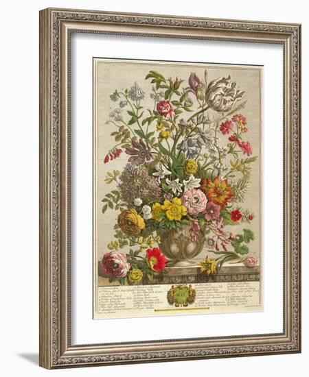 May, from 'twelve Months of Flowers' by Robert Furber (C.1674-1756) Engraved by Henry Fletcher-Pieter Casteels-Framed Giclee Print