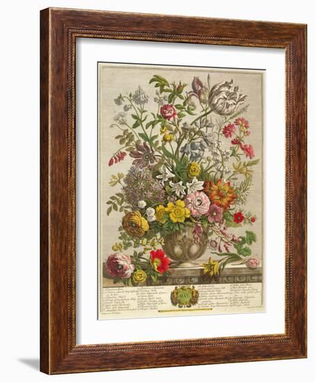 May, from 'twelve Months of Flowers' by Robert Furber (C.1674-1756) Engraved by Henry Fletcher-Pieter Casteels-Framed Giclee Print